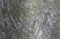 Ingleby fibreglass roof work